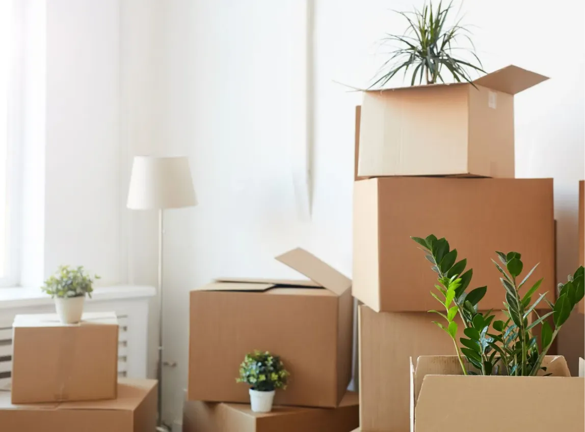 Move Out Cleaning